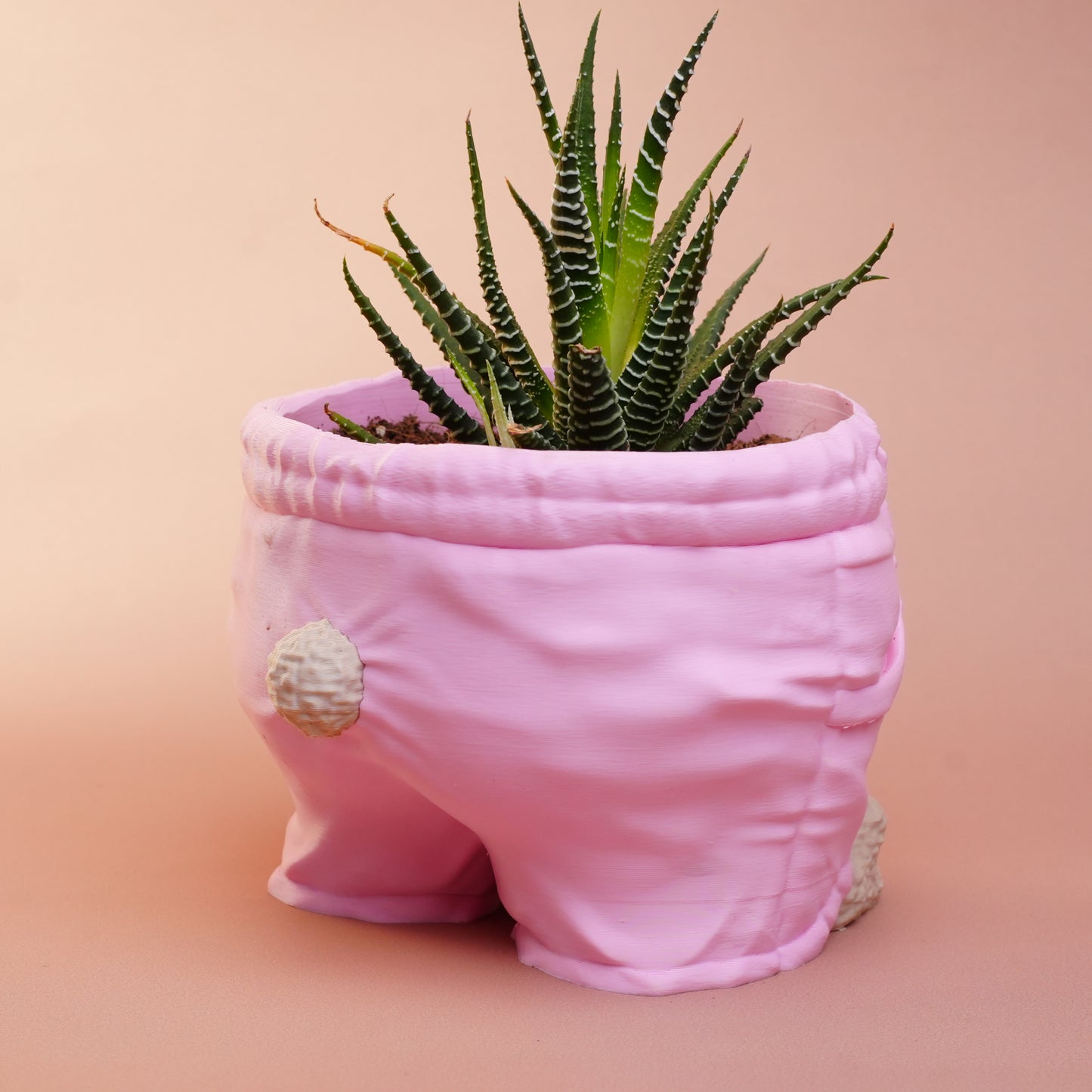 🧸 Beary Cozy Planter – Pink Shorts Edition