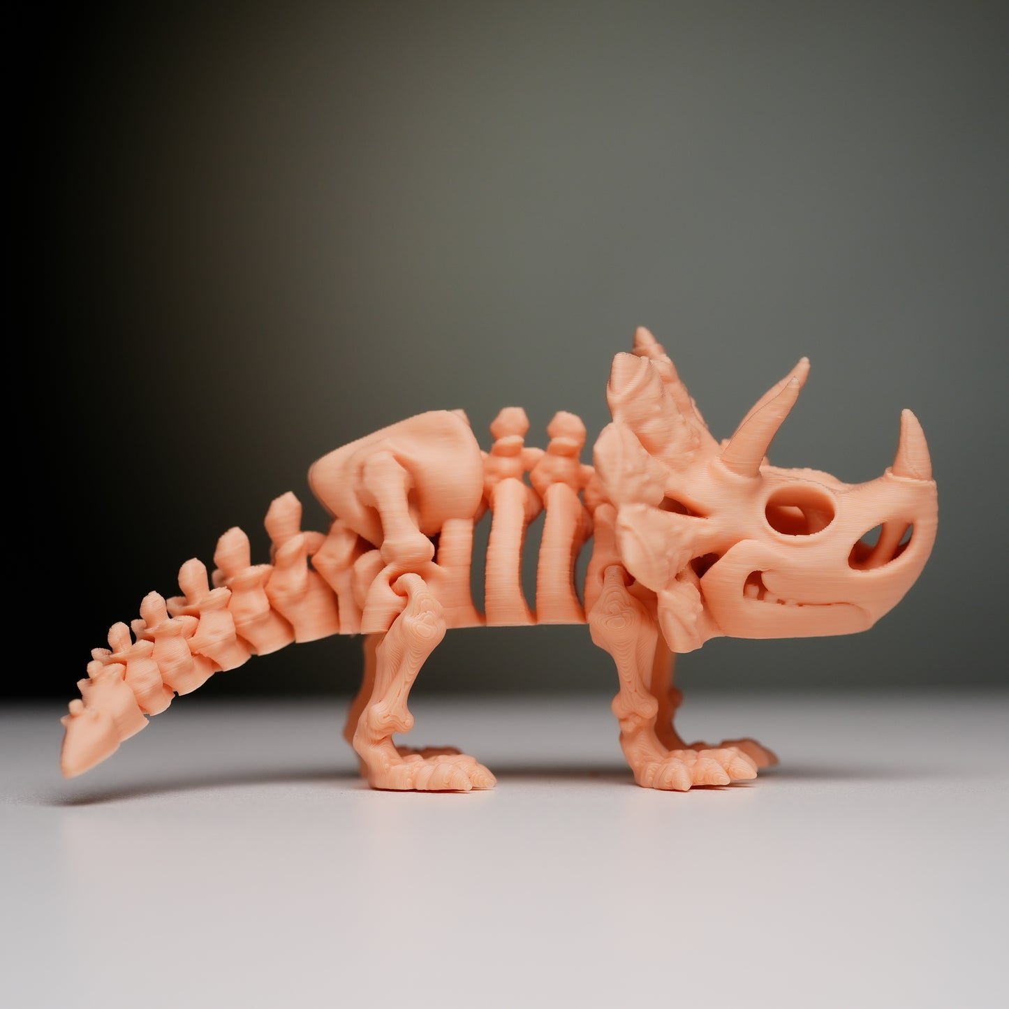 Skeleton Triceratops (Mini version)