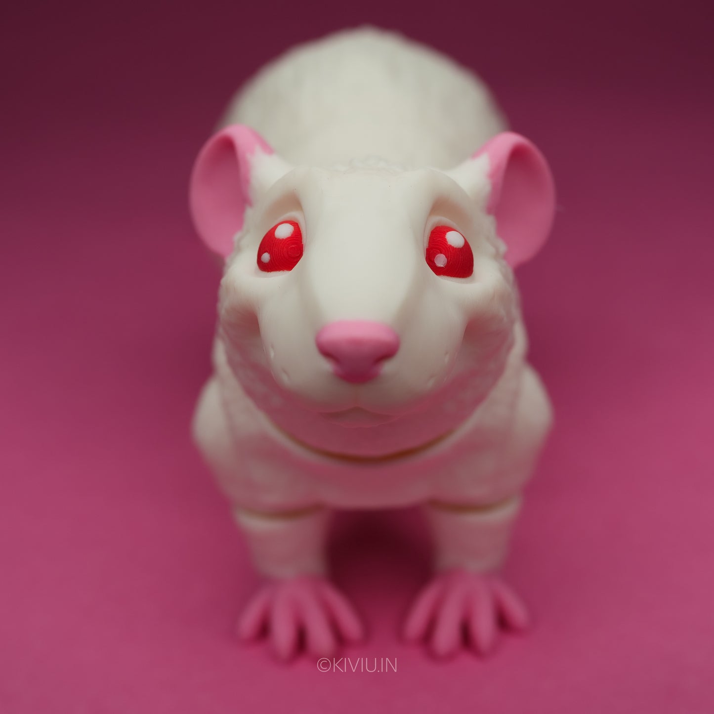 ALBINO RAT!!