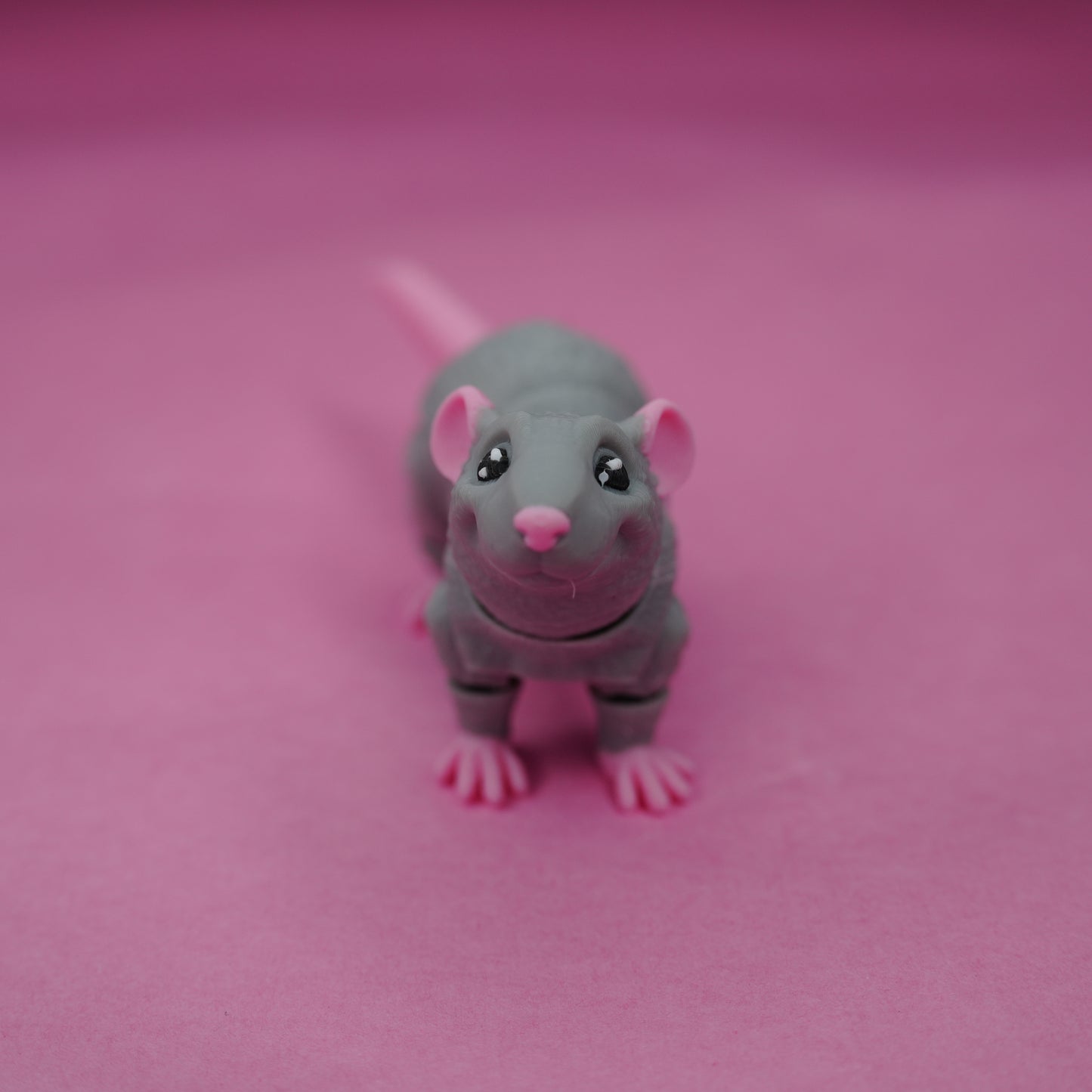 ALBINO RAT!!