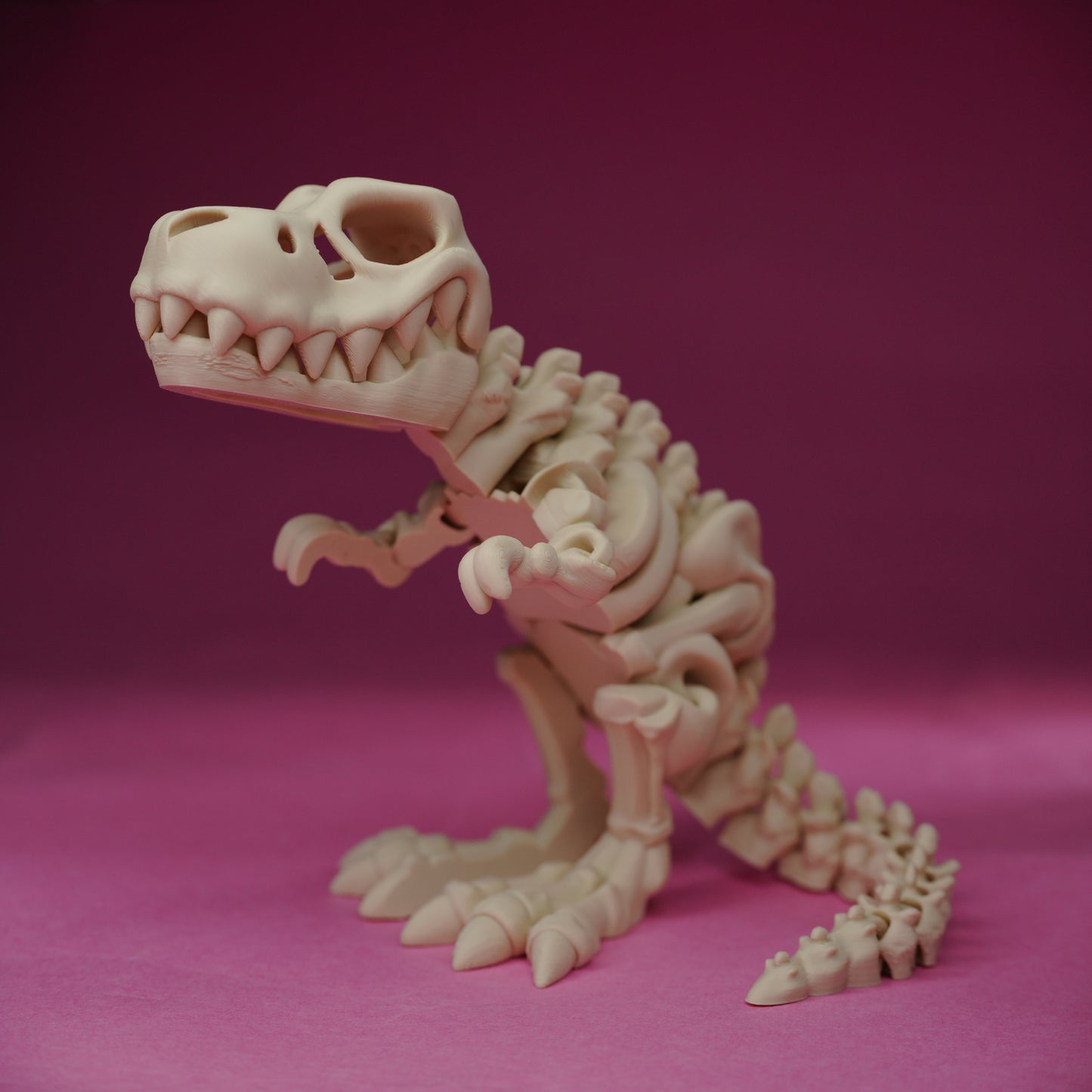 Skeleton T-rex