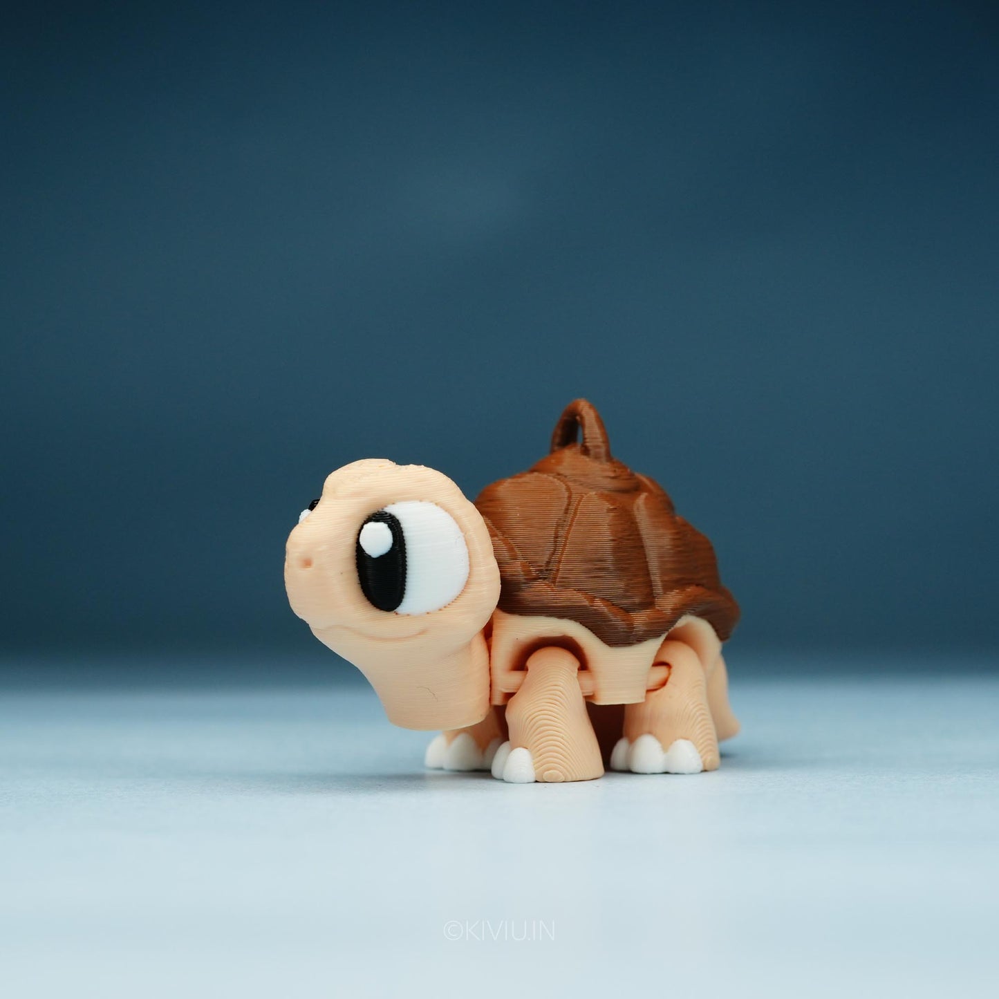 TORTOISE