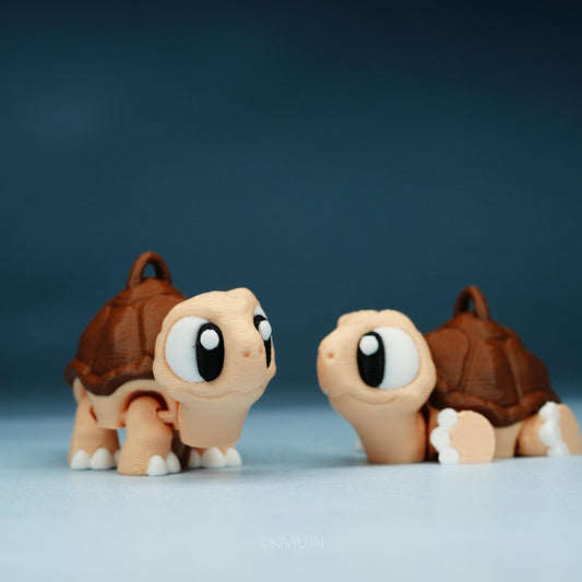 TORTOISE