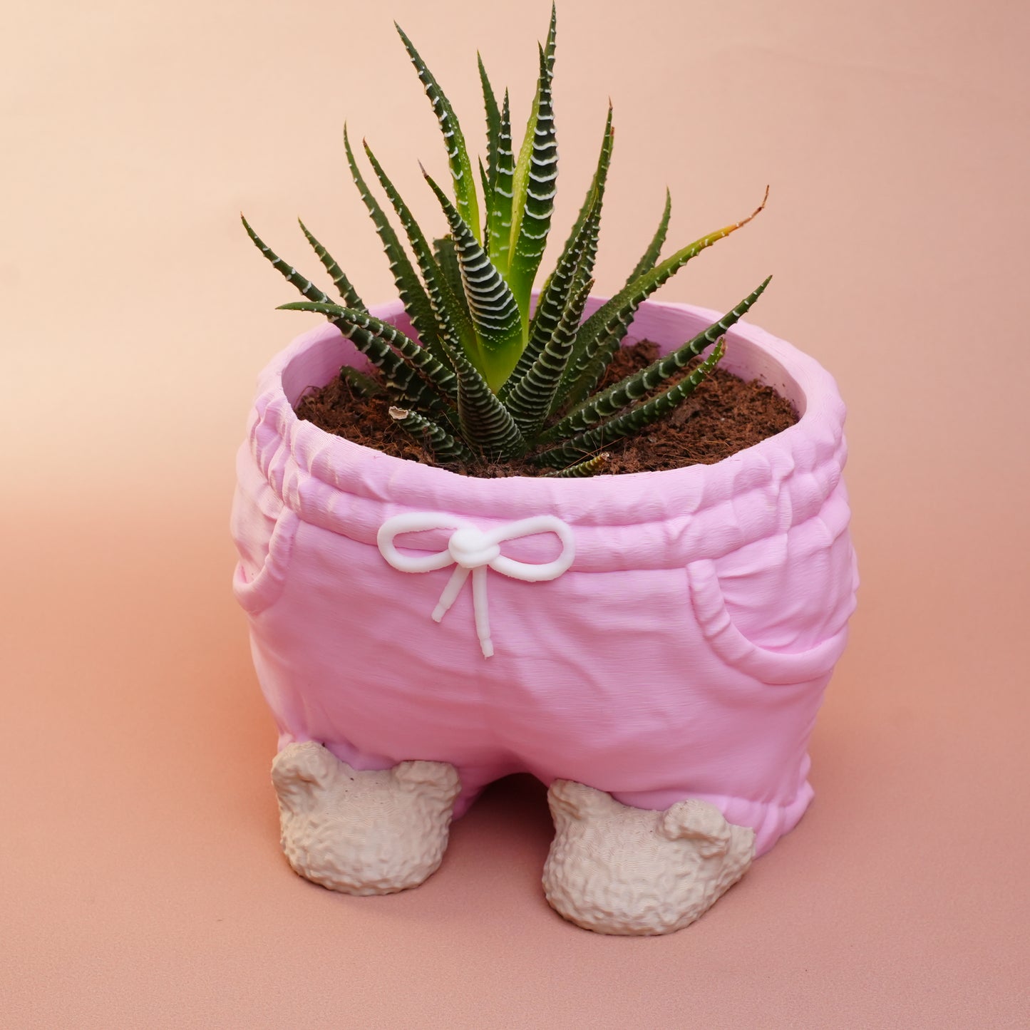 🧸 Beary Cozy Planter – Pink Shorts Edition