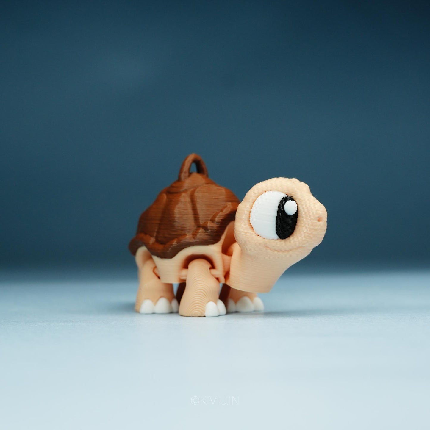 TORTOISE