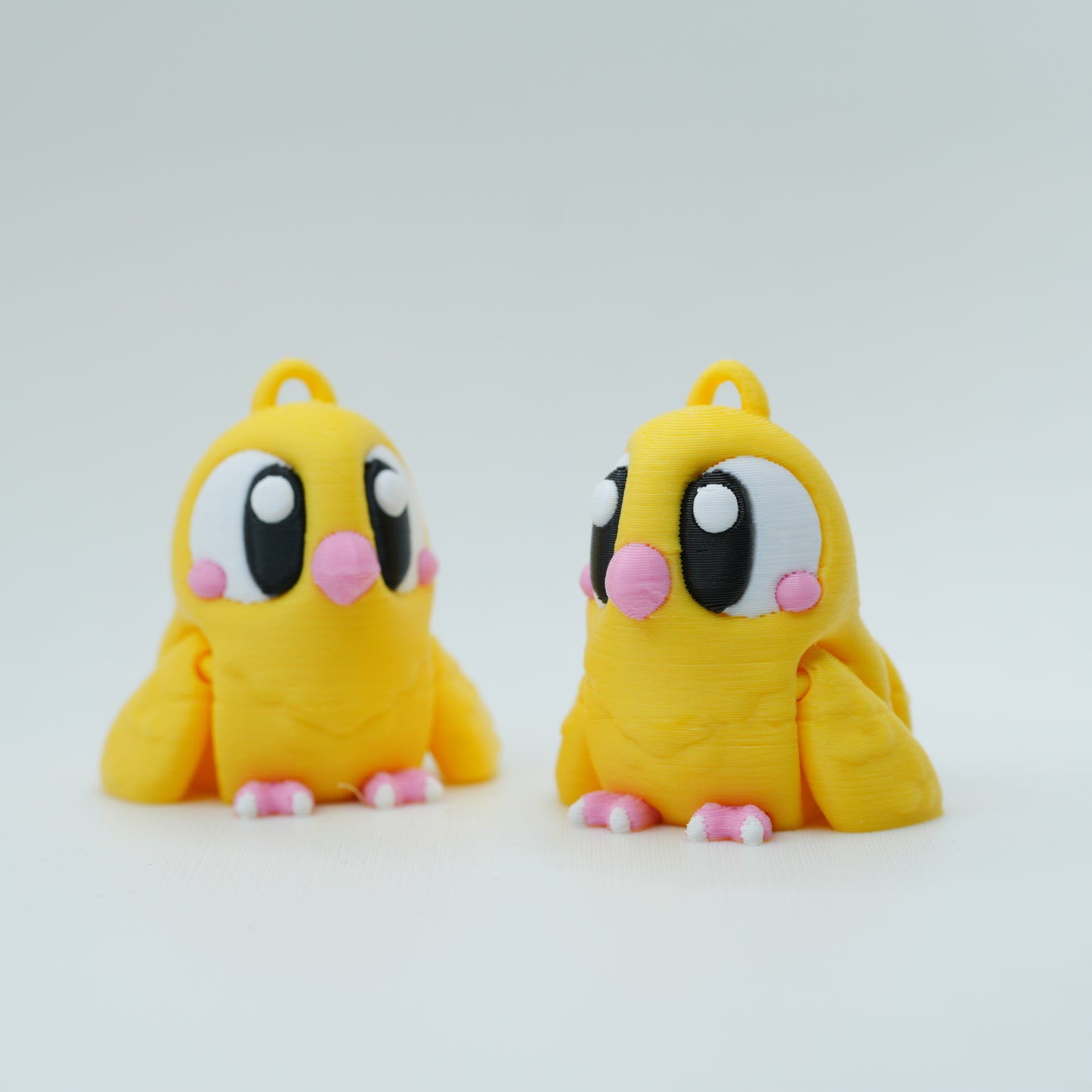 PET BIRDS