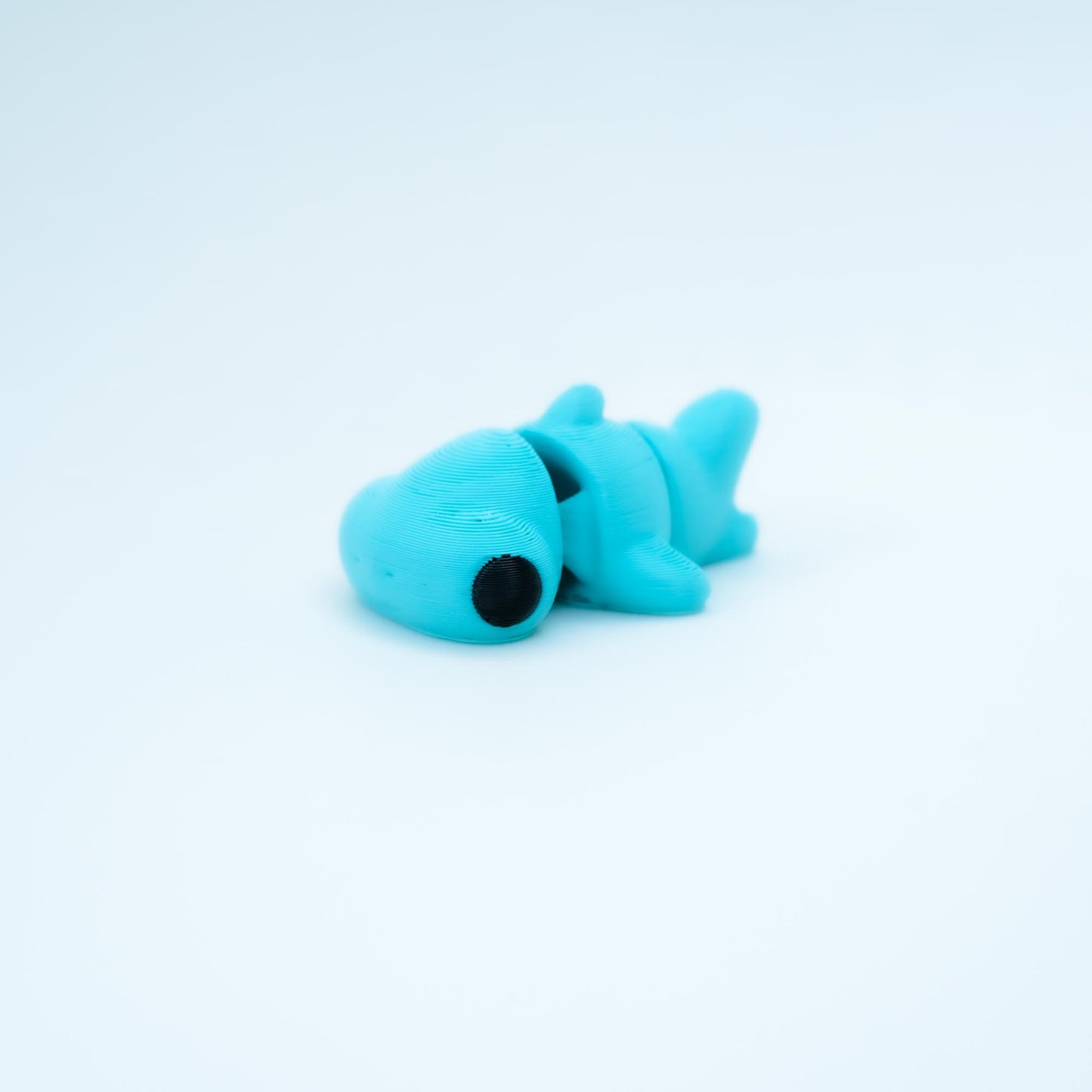 BABY HAMMERHEAD SHARK