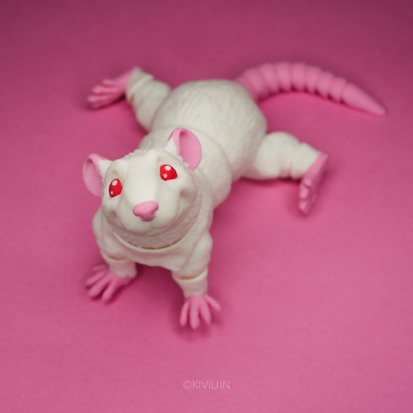 ALBINO RAT!!