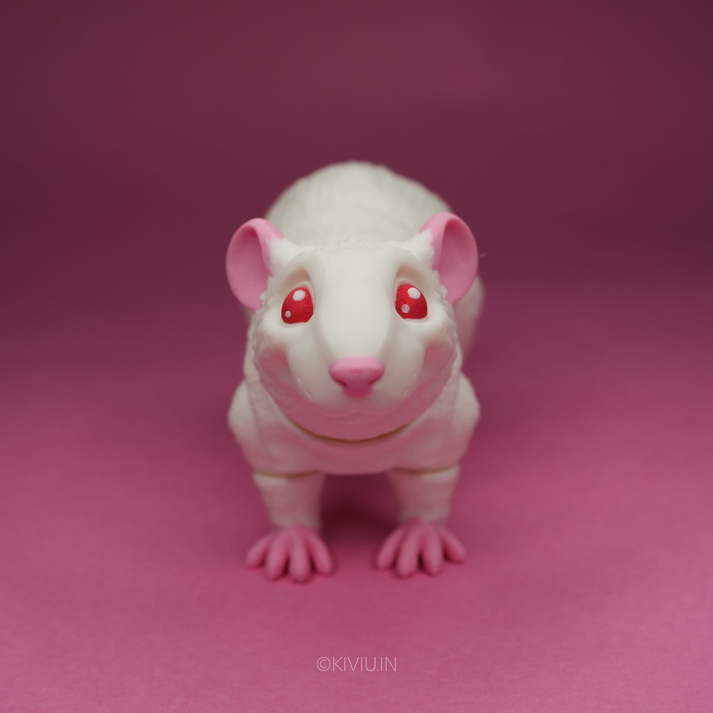 ALBINO RAT!!