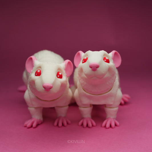 ALBINO RAT!!