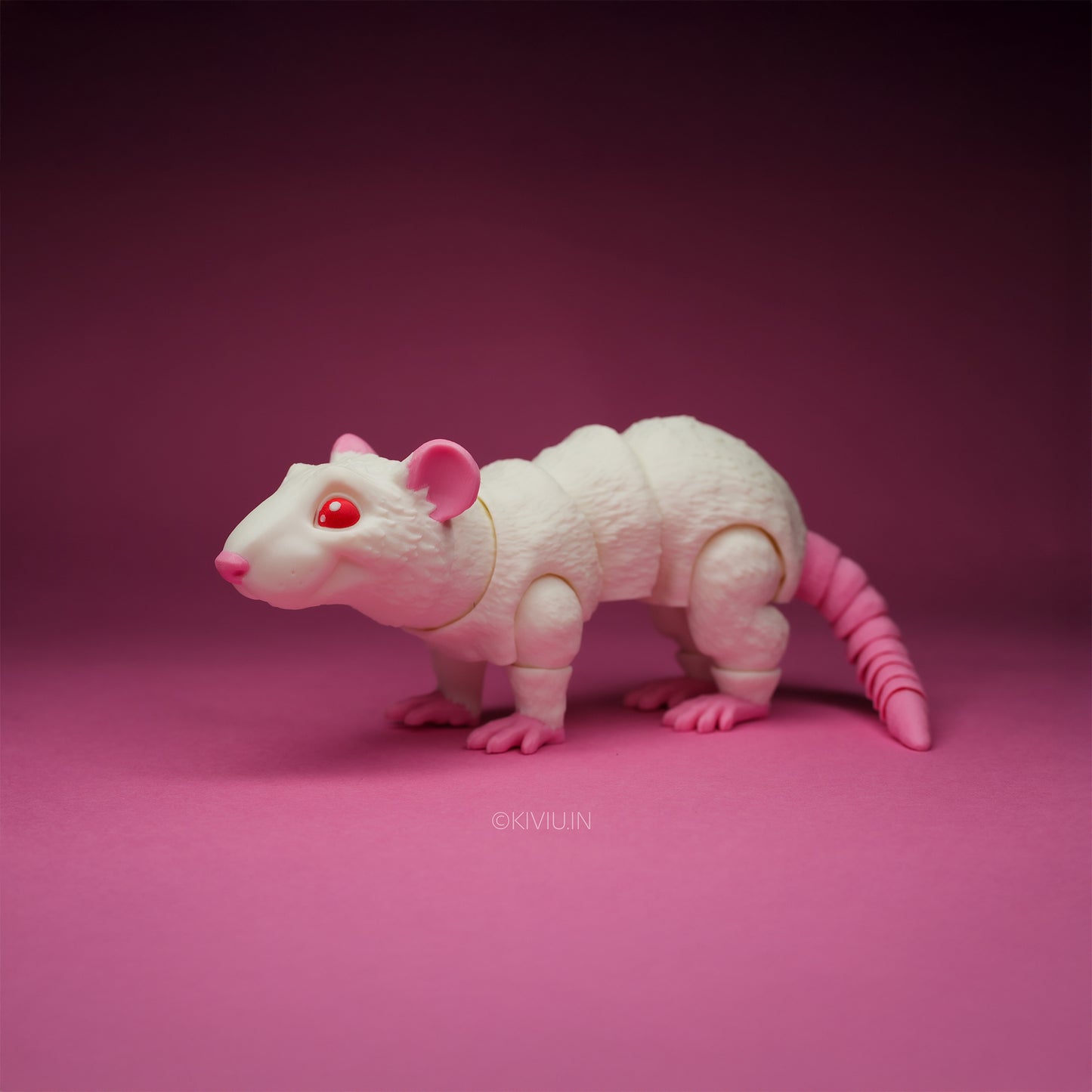 ALBINO RAT!!
