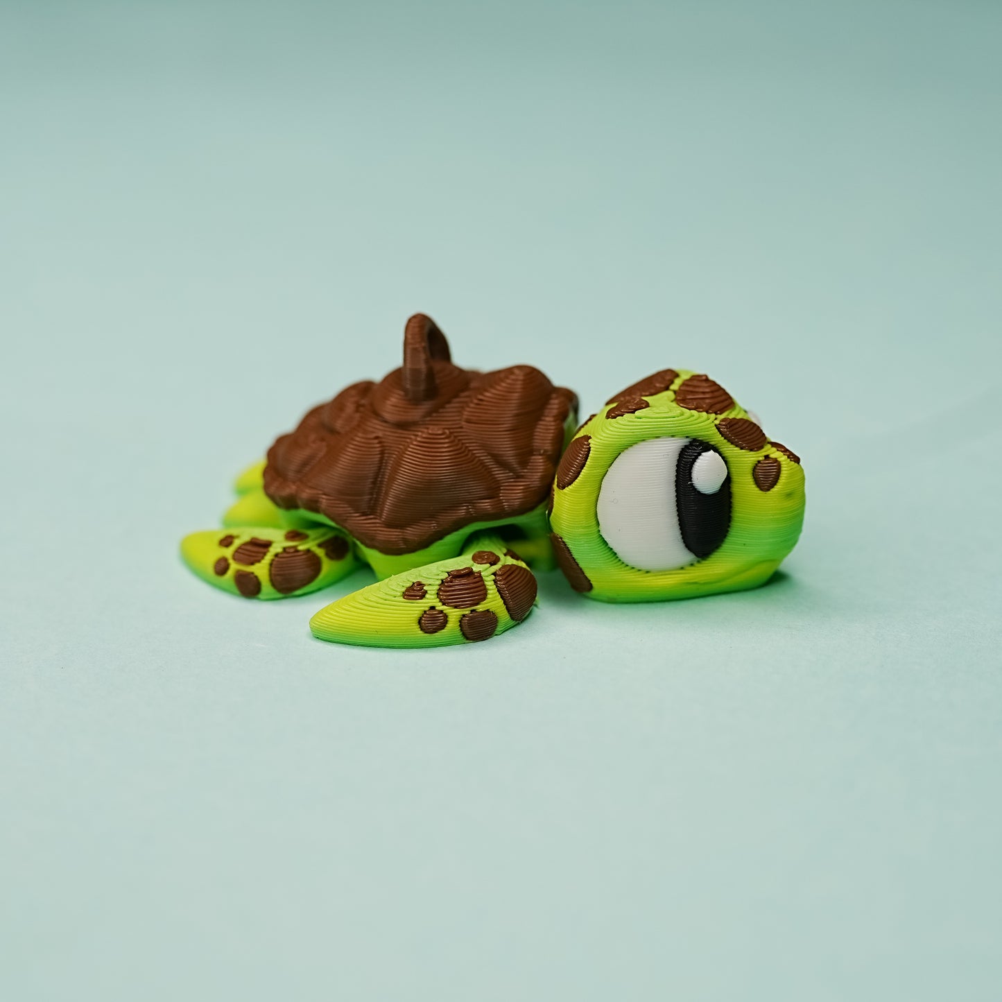 Sea turtles