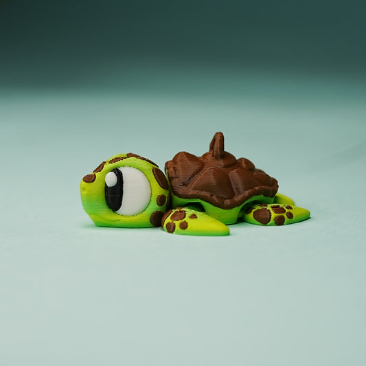 Sea turtles