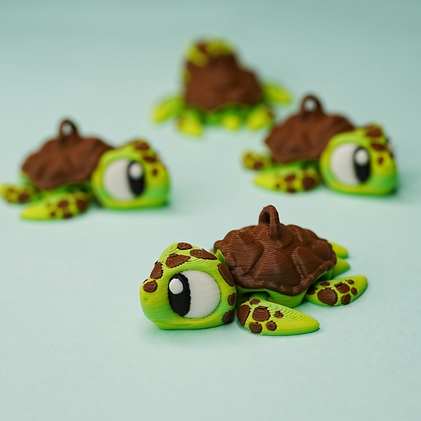 Sea turtles