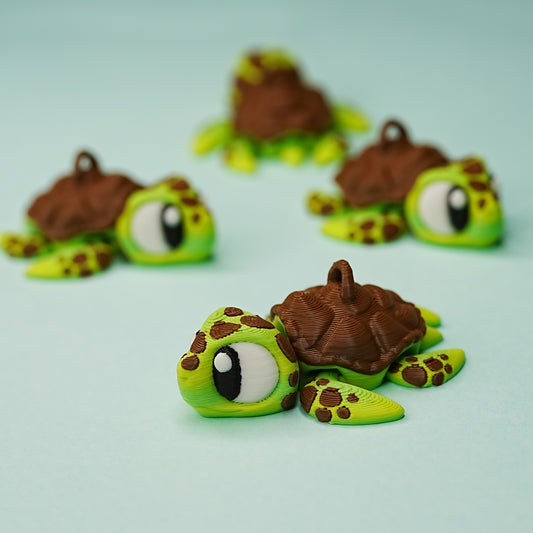 Sea turtles
