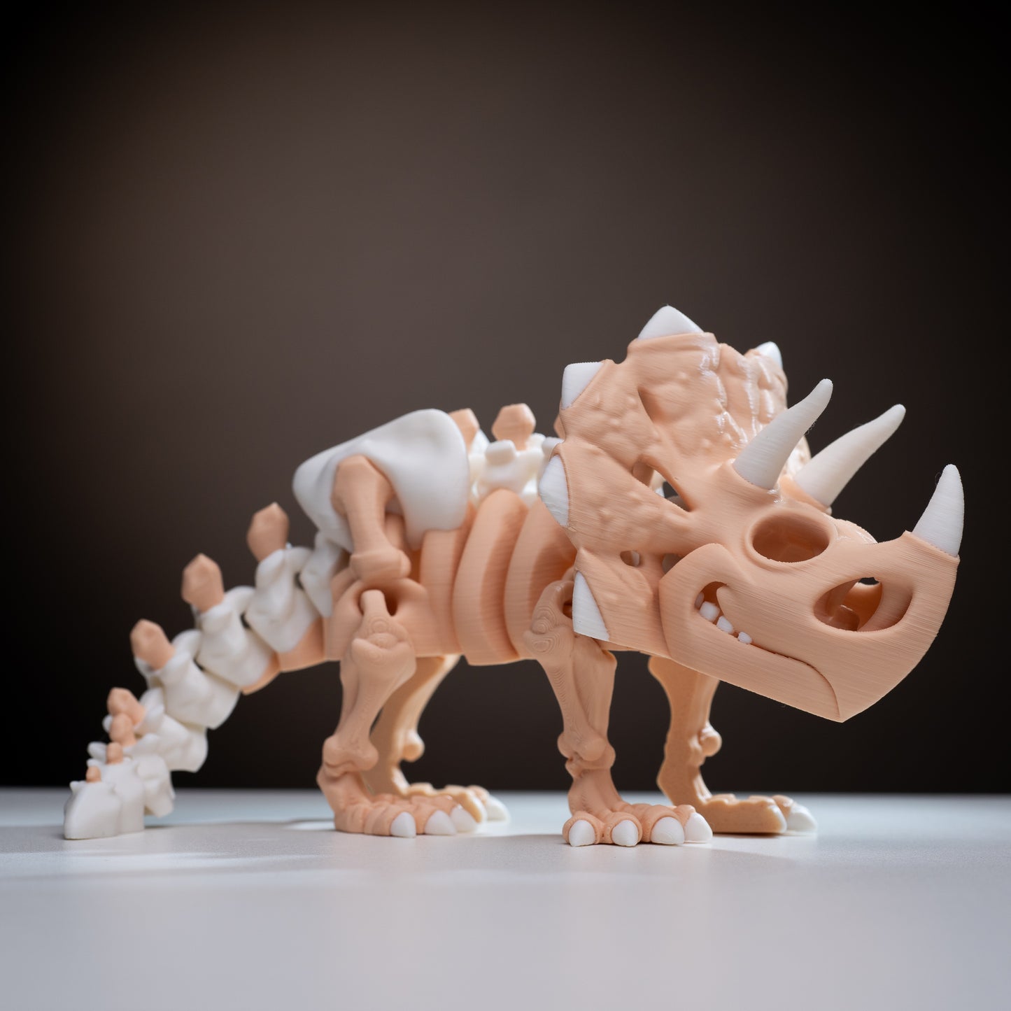 Skeleton Triceratops